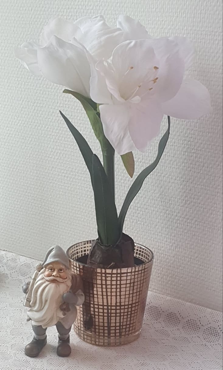 Amaryllis - Vit - 45 cm