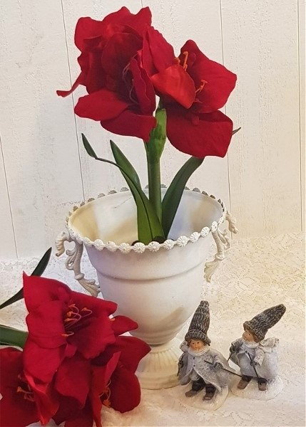 Product Image for Amaryllis - Röd 45 cm plast