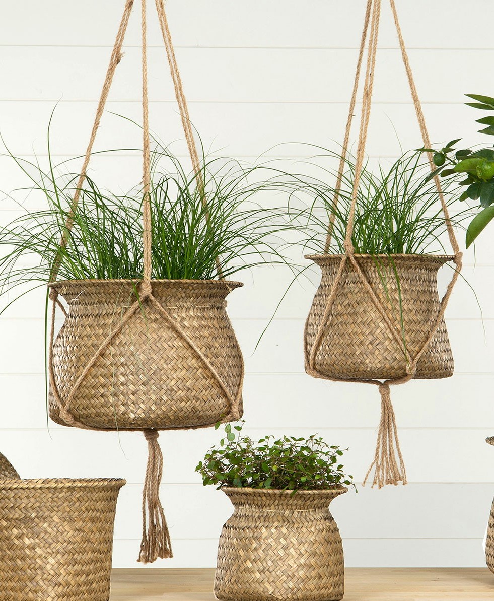 Ampel Natur 2 - Pack