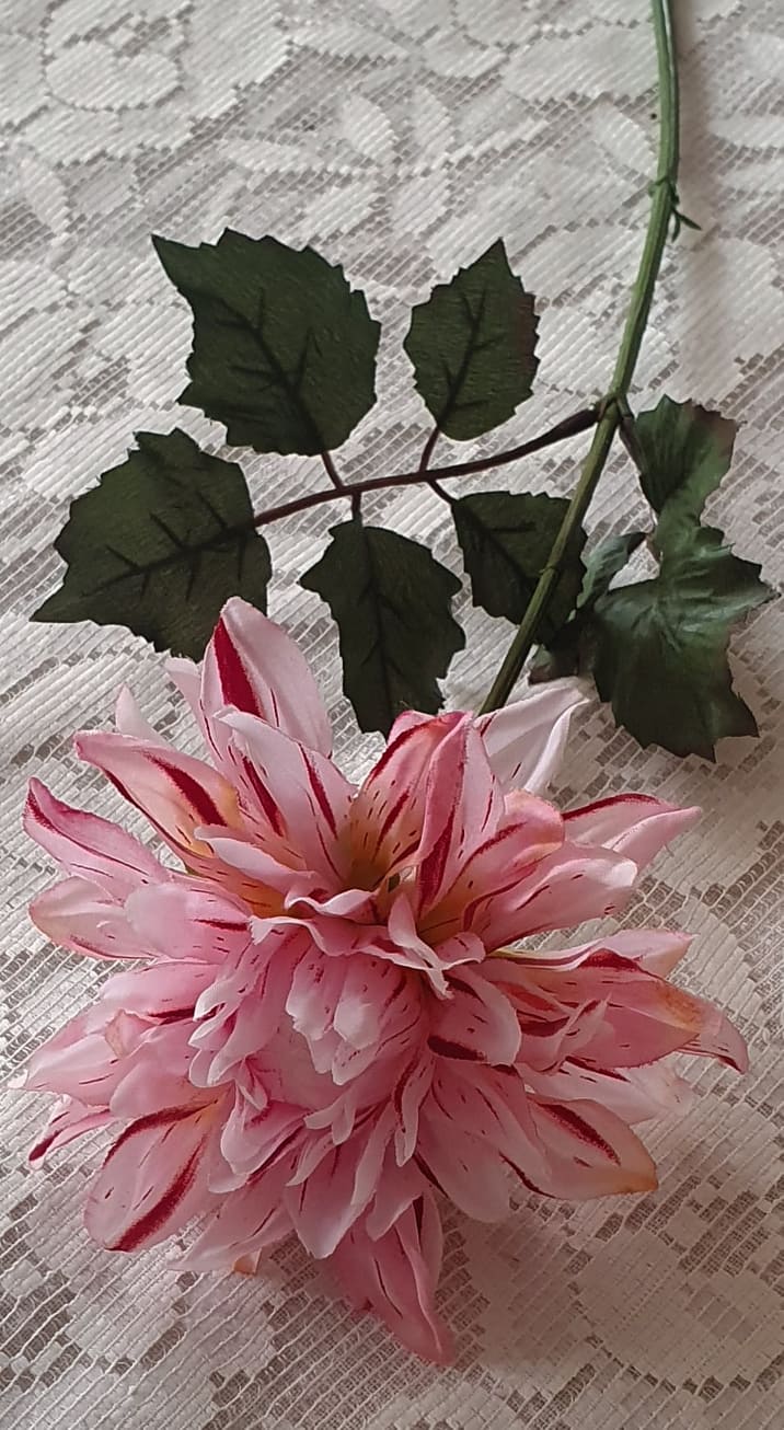 Dahlia Rosa - 45 cm