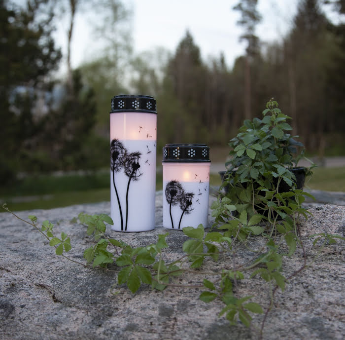 LED-Gravljus Maskrosfrön