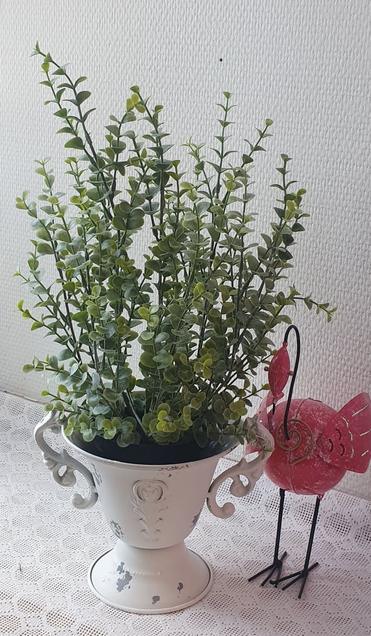 Eucalyptus  Grön - 40 cm