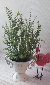 Eucalyptus  Grön - 40 cm