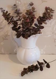 Eucalyptus Kvist - 40 Cm