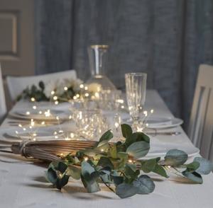 Eucalyptuskvist Med Belysning