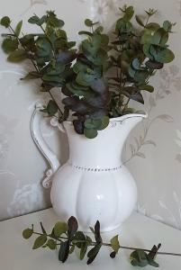 Eucalyptus Mörk 40cm