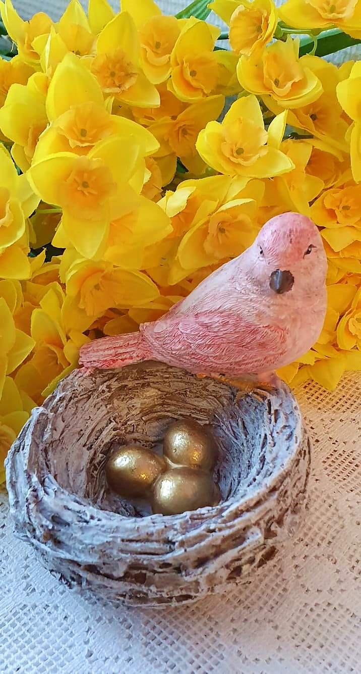 Fågel Med Fågelbo Och Ägg