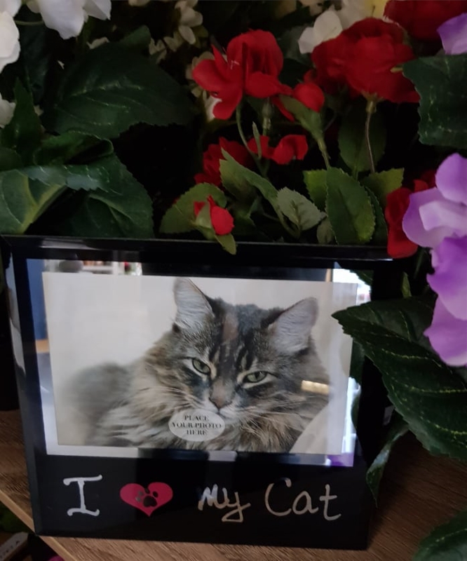 Fotoram Glas I Love My Cat