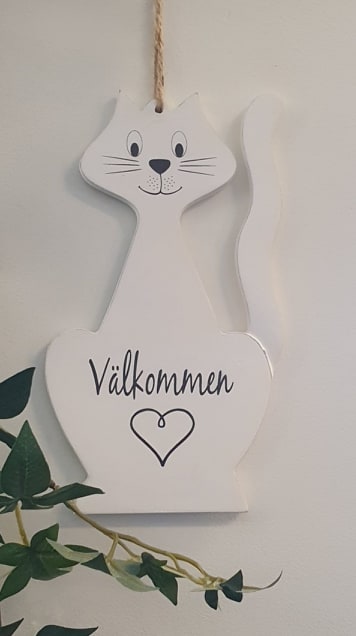 Katt - Välkommen