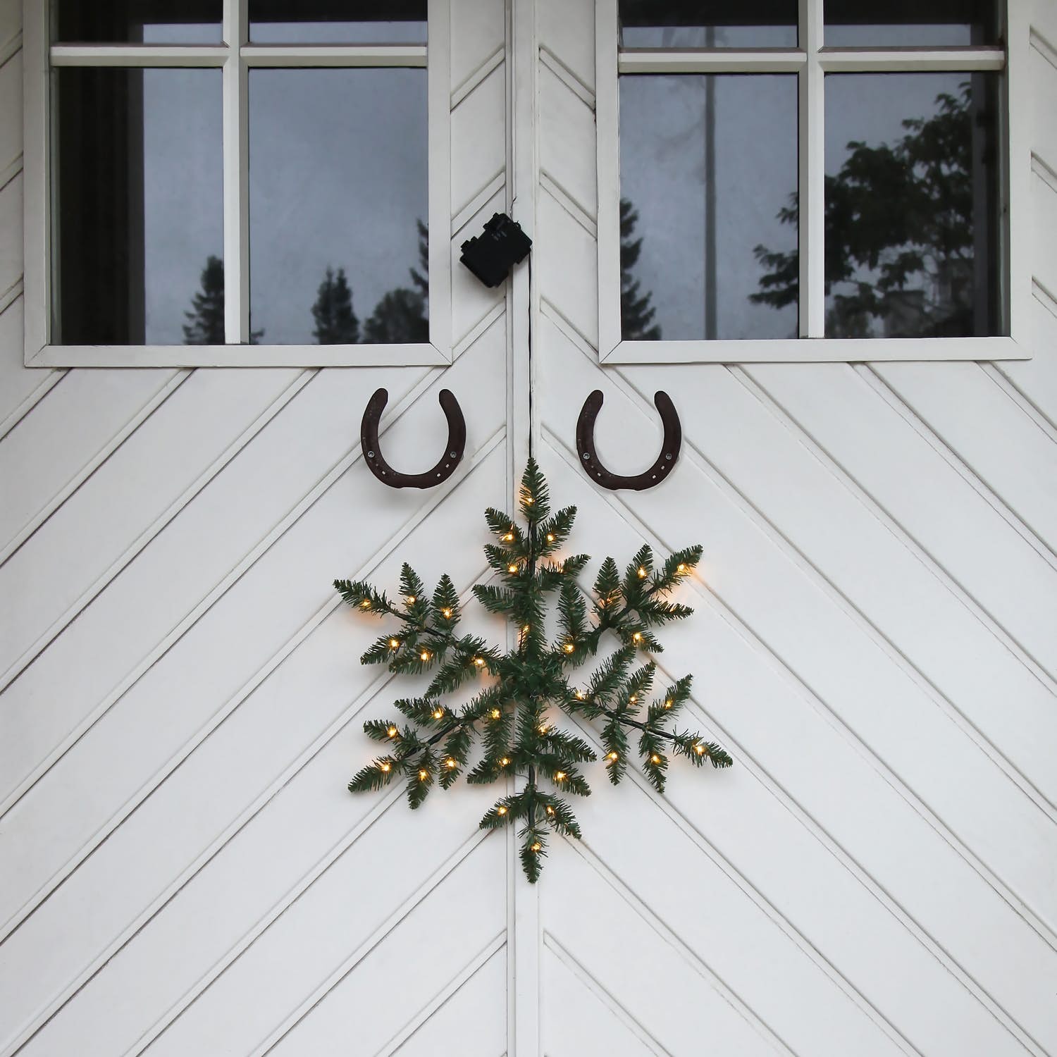 Krans Snöstjärna