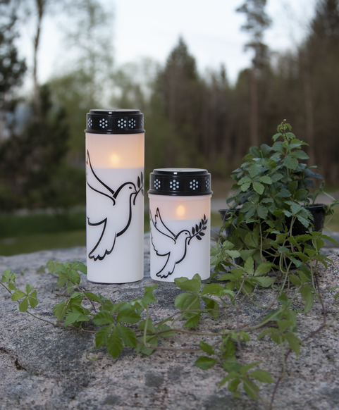LED-Gravljus Duva