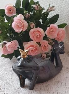 Liggande Groda Med Krona