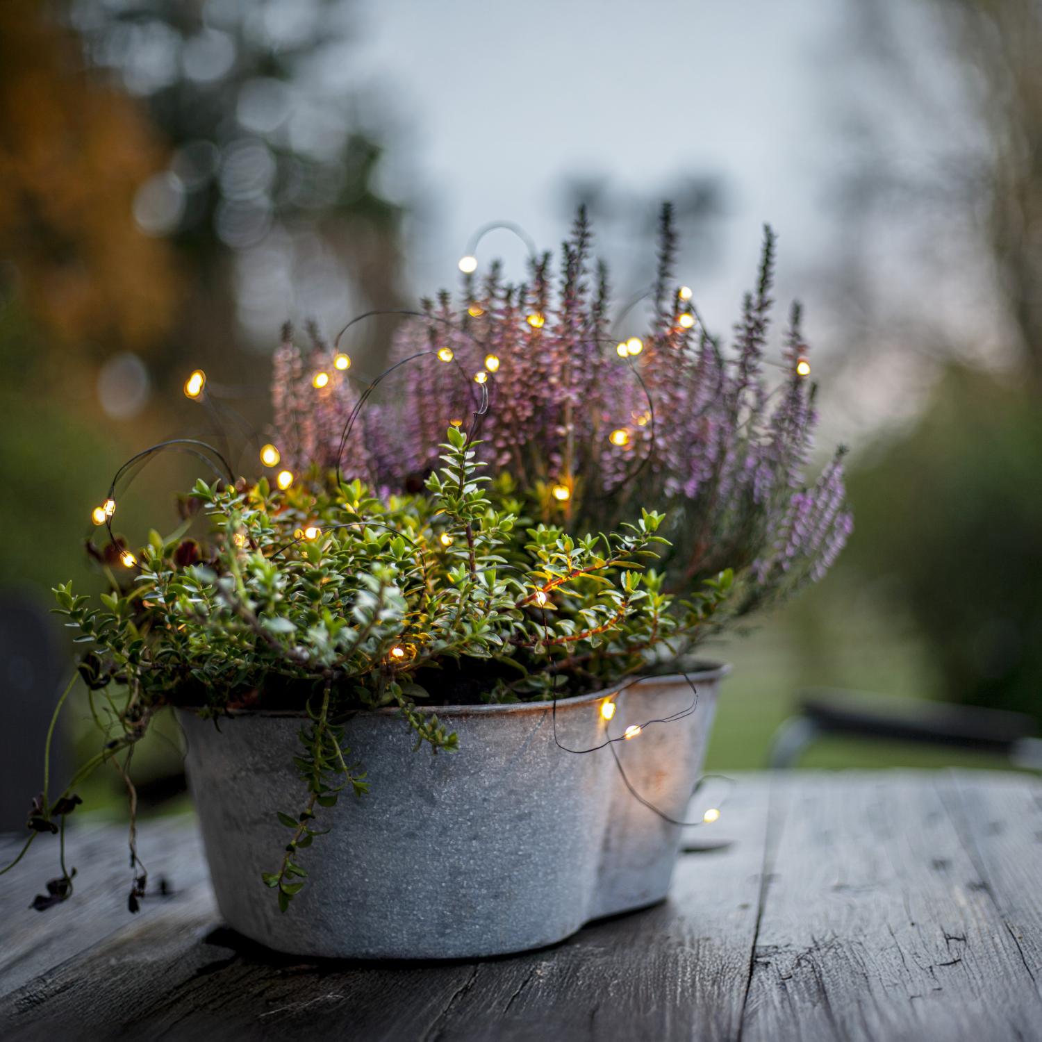 Ljusslinga Dew Drop LED Utomhus