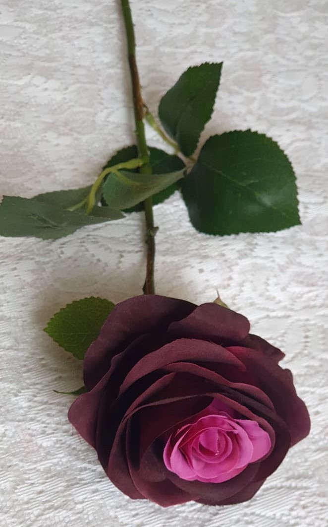 Mörk Lila Rosa Ros