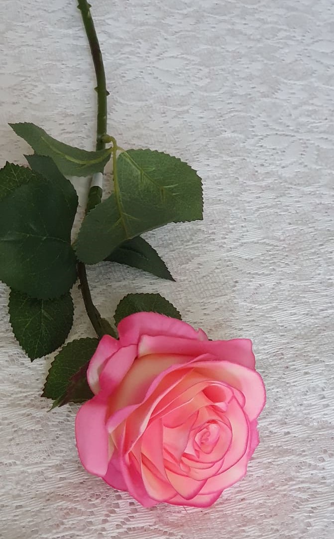 Mörk Rosa Cerise Ros