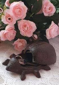 Nyckelgömma Nyckelpiga