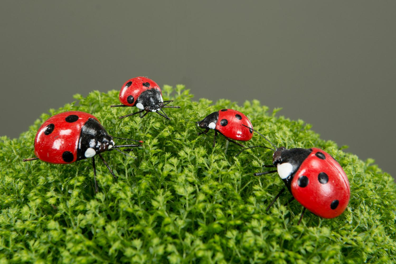 Nyckelpiga Sticks 2- Pack