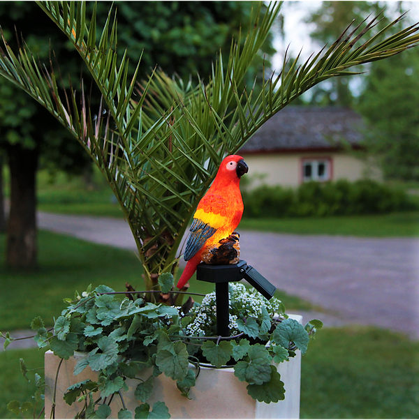 Papegoja Solcellslampa Trädgårdsdekoration