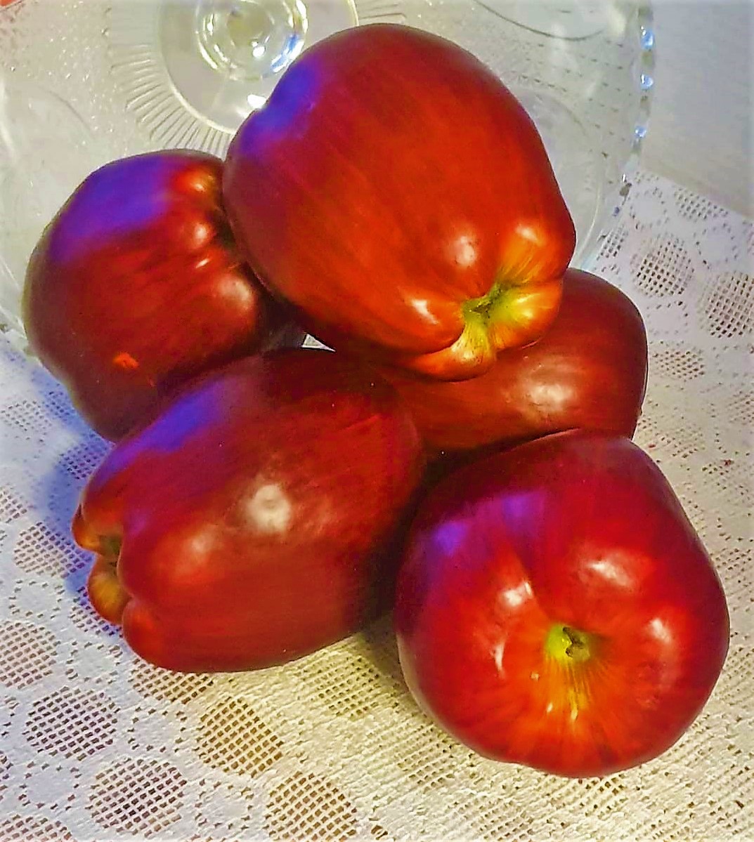 Äpple Röd