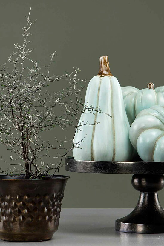 Pumpa Mint Avlång Poly