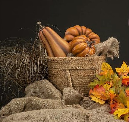 Product Image for Pumpa Orange Avlång polystone