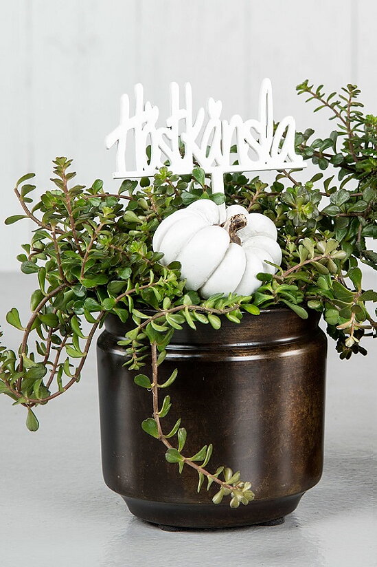 Pumpa Stick Antikvit 2-Pack