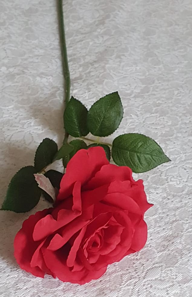 Röd Ros med blad