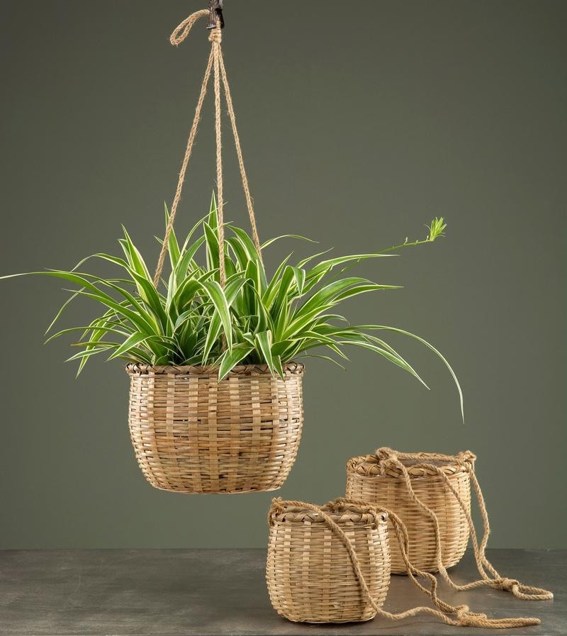 Product Image for Ampel Bambu 3-Pack