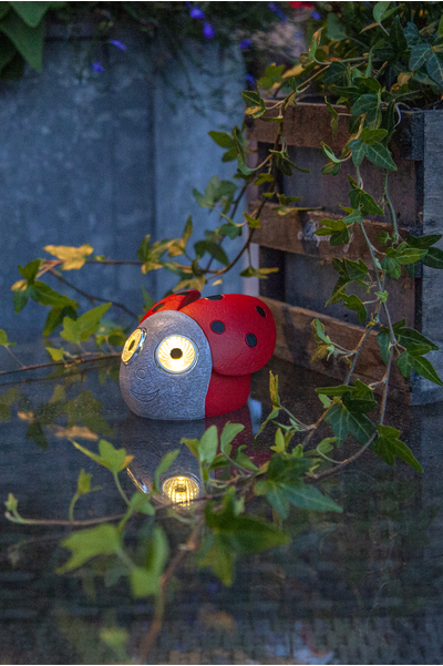 Solcellsdekoration - Nyckelpiga