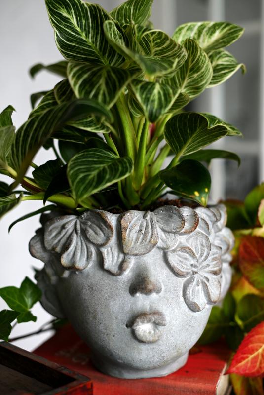 Product Image for Kruka Adam - Medium