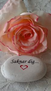 Sten Med Graverade Text - Saknar Dig