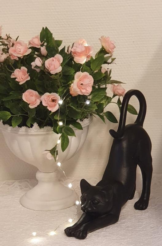 Product Image for Sträckande Katt