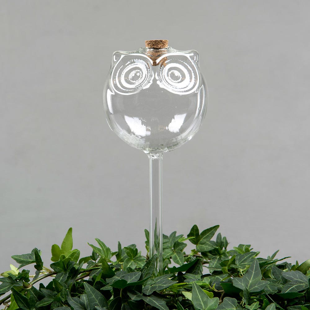 Bevattningsglas Uggla