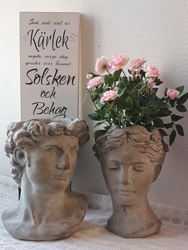 Product Image for Kruka - Ansikte Caesar