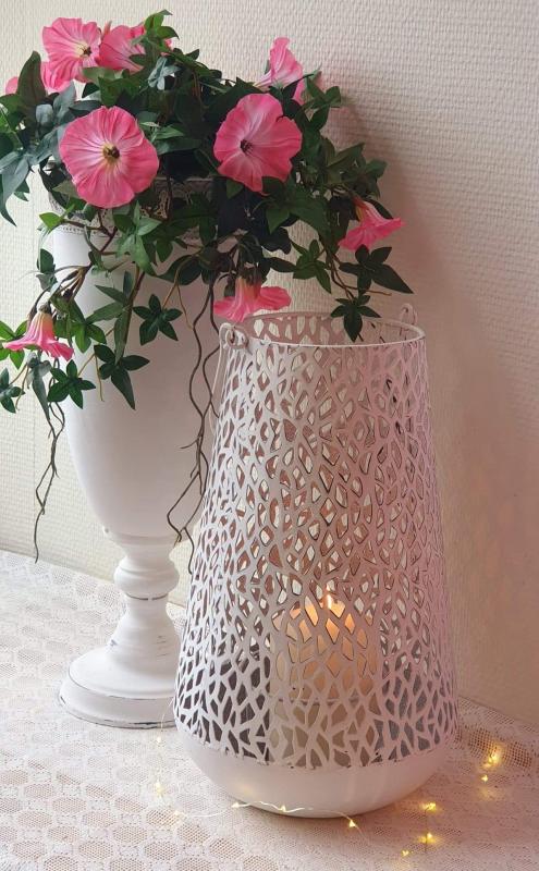 Product Image for Ljuslykta Alba Vit (- LARGE -)