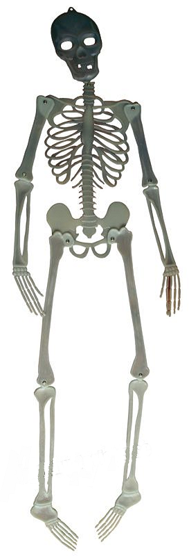 Skelett självlysande 150cm