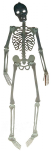 Skelett självlysande 150cm