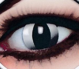 LINS SVART KATT 3 MÅN