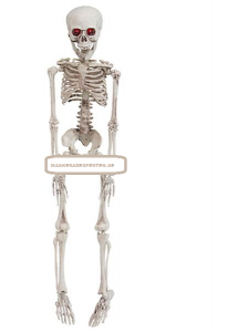 SKELETT 50 CM M LJUS