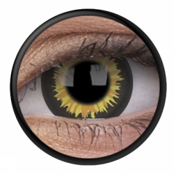 LINS 1 ÅR CRAZY LUMINOR