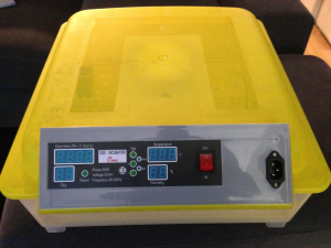 ÄGGKLÄCKARE, "NEDSATT PRIS"