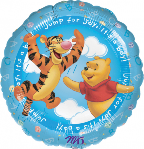 FOLIE WINNEI ITS A BOY