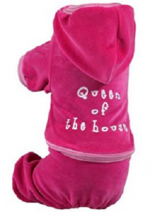 TRACK SUIT QUEEN OF THE HOUSE