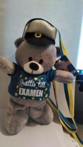 STUDENTNALLE MED T-SHIRT