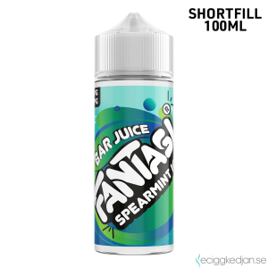 Fantasi | Spearmint Ice | 100ml Shortfill