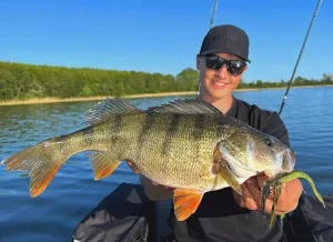 ZMAN CHATTERBAIT MINI 10.5GR