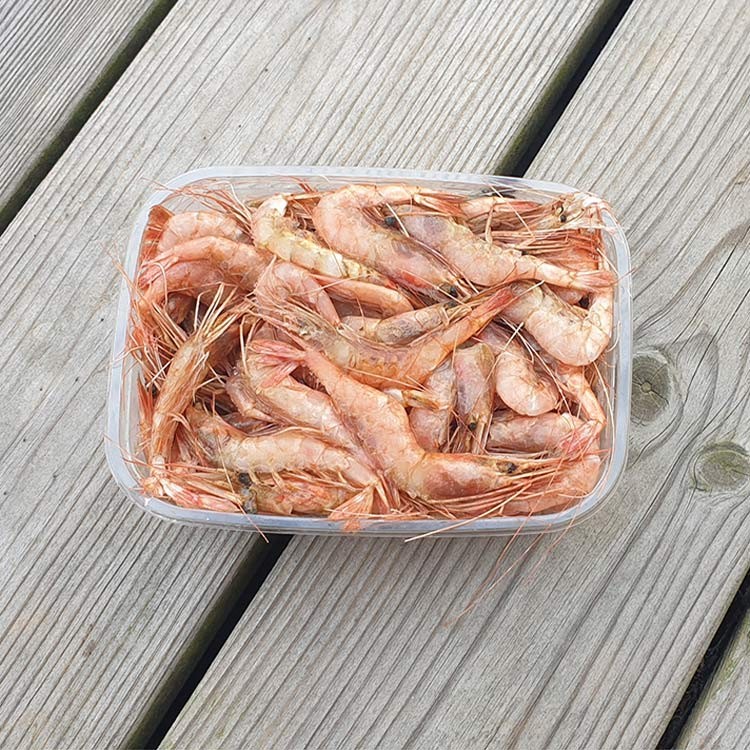 Roräkor från Västkusten