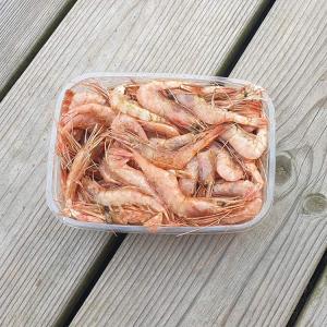 Roräkor från Västkusten