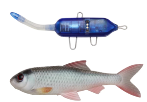 PULZE BAIT STARTER KIT ROACH 15CM - ROACH