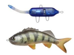 PULZ BAIT STARTER KIT PERCH 15CM - PERCH